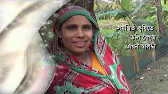 সমন্বিত কৃষিতে ডলি বেগম এখন স্বাবলম্বী | Doli Begum | ‍Success Story of a Participant of SANGRAM